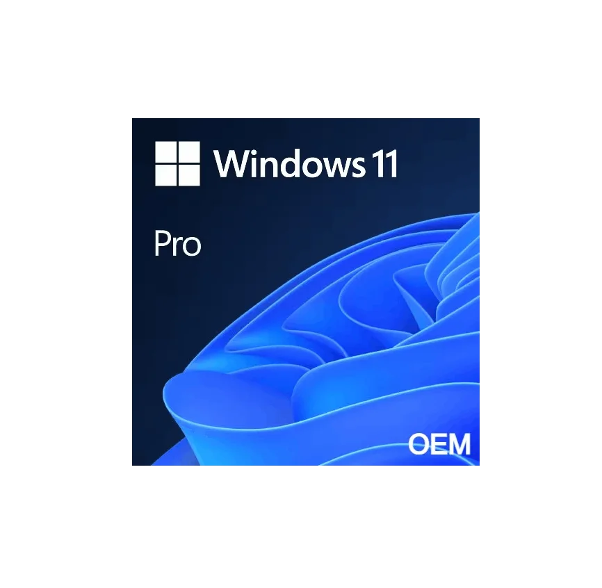Microsoft Windows 11 Pro Licencia OEM DVD-ROM - PC